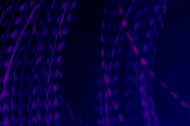 Тренды развития в сетевой инфраструктуре, которые влияют на успех вашего бизнеса