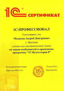 Медведев ПРОФ по БУХ